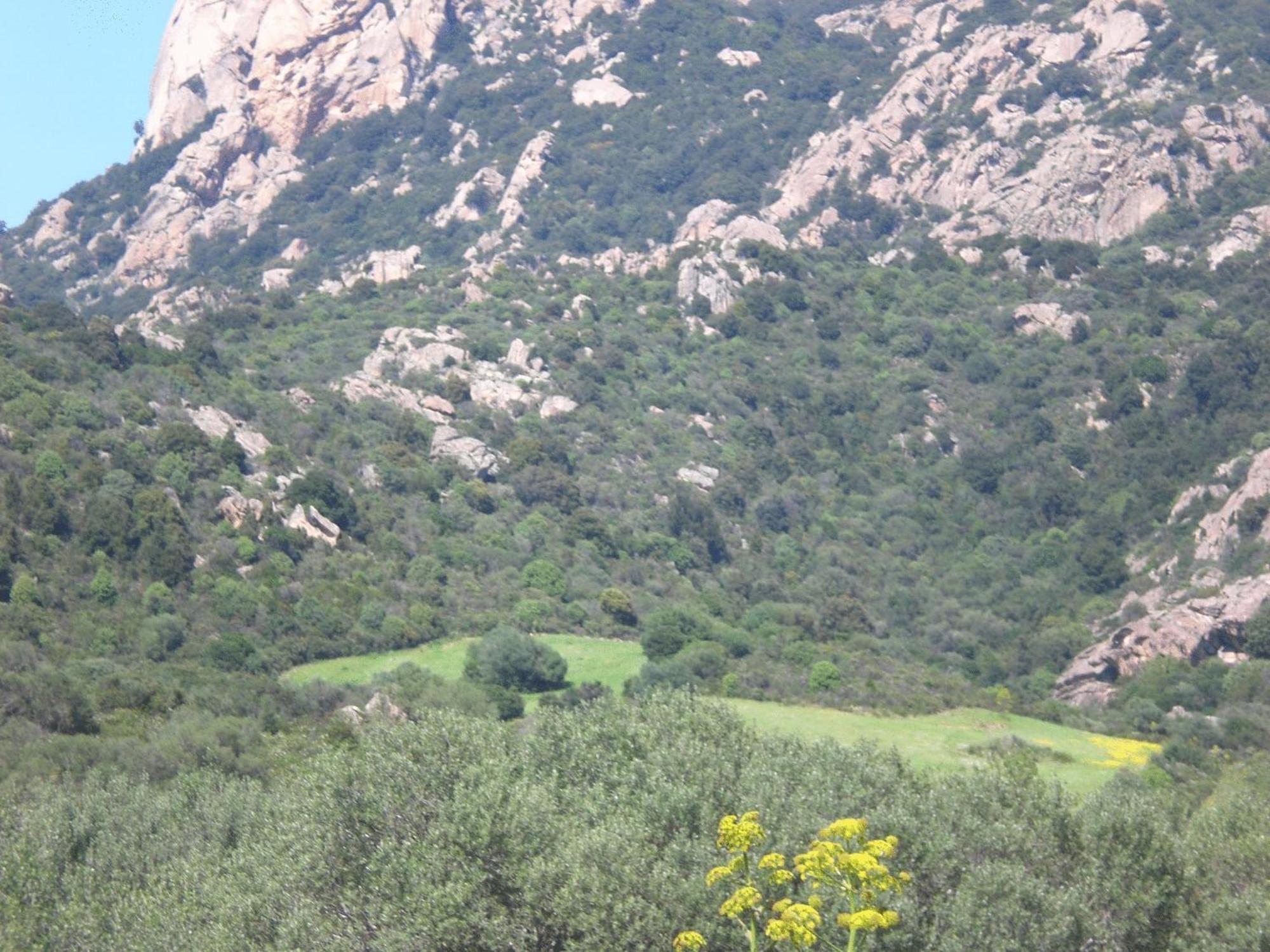 Hotel Turismo Rurale Montitundu Portisco Buitenkant foto